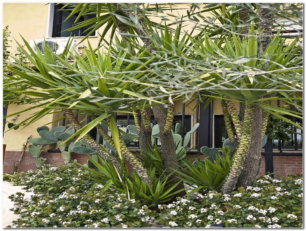 צ'ריניולה Hotel Veronese מראה חיצוני תמונה